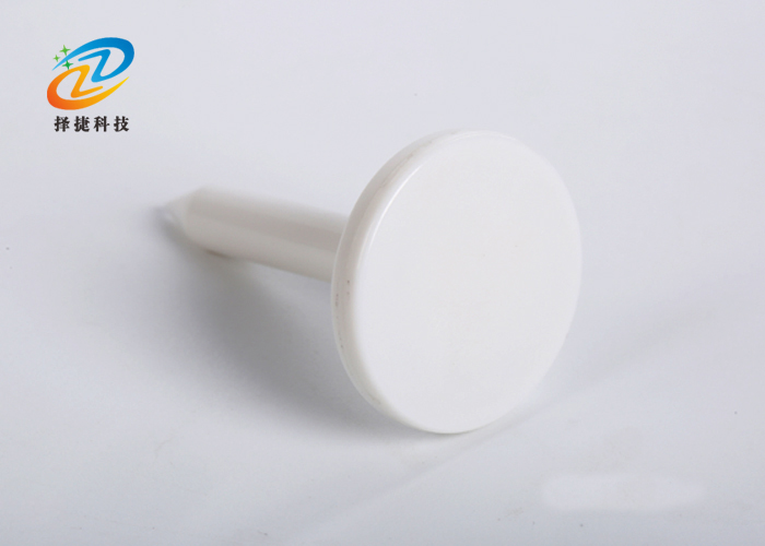 钉子电子标签ZJ-DZ011实拍展示图二