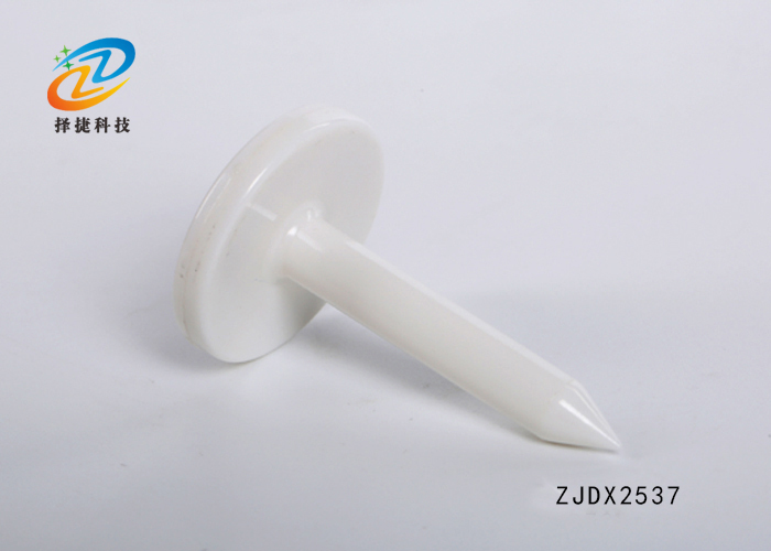 钉子电子标签ZJ-DZ012实拍展示图一